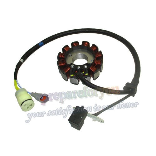 Statore magnetico bobine - 12,